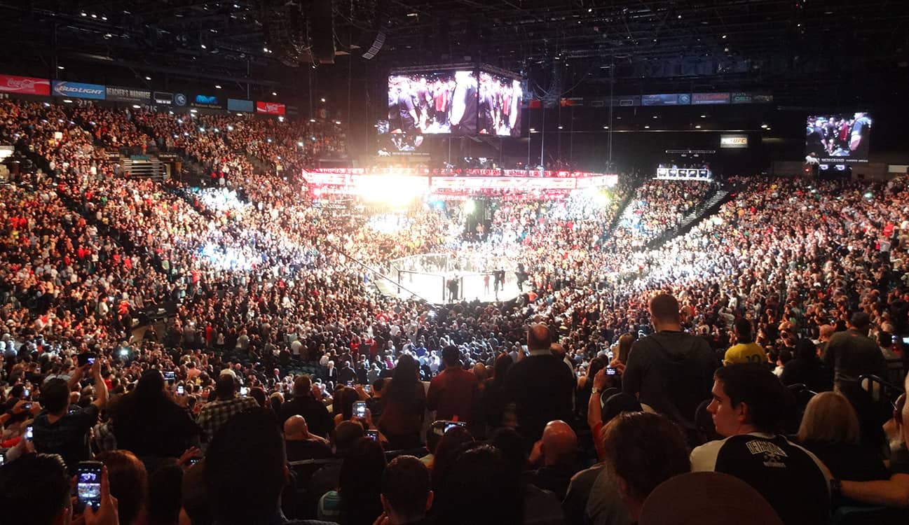 Watching-Silva-Diaz-UFC-Fight-MGM-Grand-Garden-Arena-Las-Vegas