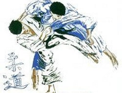 djiudjitsu_1_2