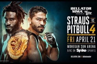 Результаты Bellator 178